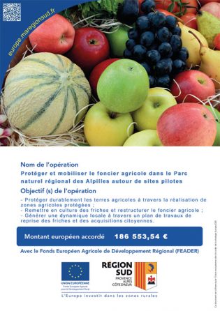 Affiche Feader Alpilles